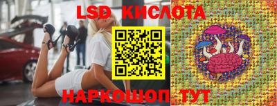 молекула духа Кулебаки