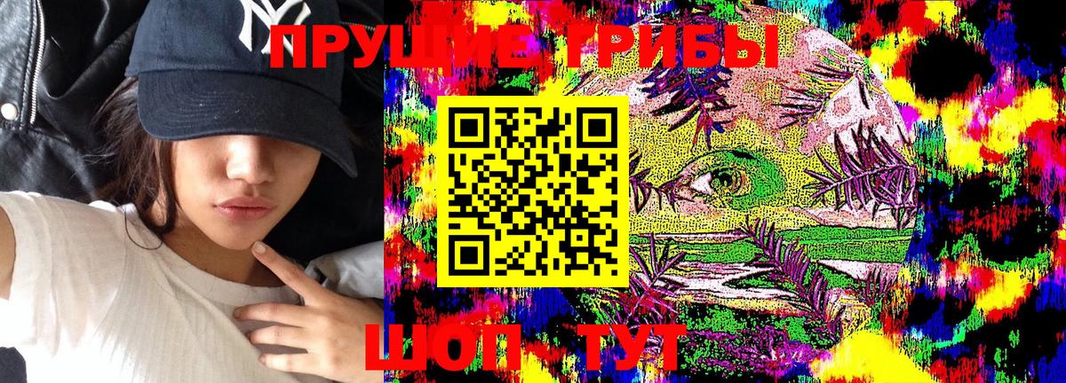 Псилоцибиновые грибы Cubensis  где найти наркотики  Избербаш  Галлюциногенные грибы Cubensis  Вход с VPN 