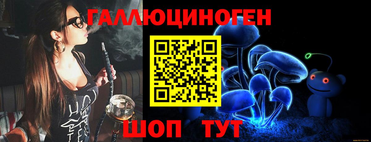 Псилоцибиновые грибы Cubensis Избербаш
